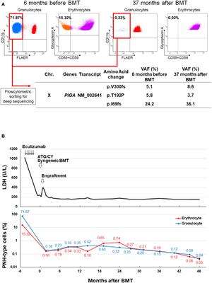 Frontiers Case Report Immune Pressure On Hematopoietic Stem Cells